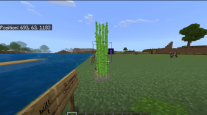 Minecraft PE 1.19.50.20 v5